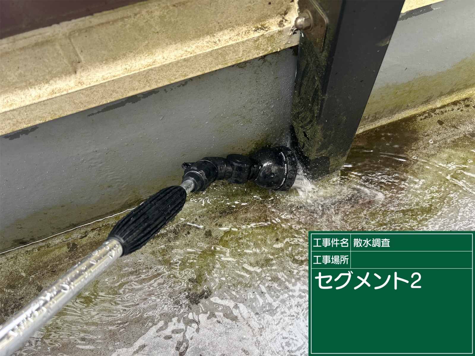 散水調査