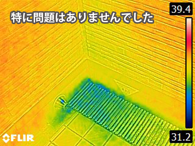 サーモグラフィ画像、ベランダ防水15年目積水ハウス土浦市